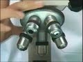 Uso del Microscopio �ptico Compuesto - Enfermer�a UAP