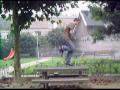 Oud filmpje maar nog geen tijd gehad om het erop te zette, toen stond de kermis er nog;) Enjoy watching..:D