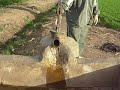 محمد خليل في عيد الأضحي على الطلمبة أثناء زيارة الأهل في سمنود