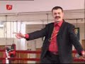 guta vs dolanescu