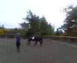 Lunging Black Jack