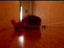 A Dog and his Toys
