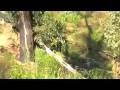 Goat hunting at mudgee