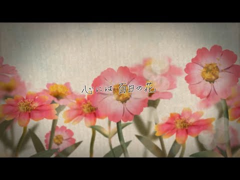 One hundred day flower - Hiakuniti Nohana -