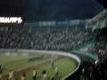 Festa Verde