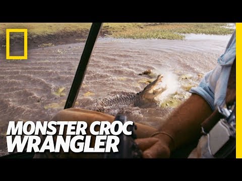 Croc v. Chopper | Monster Croc Wrangler