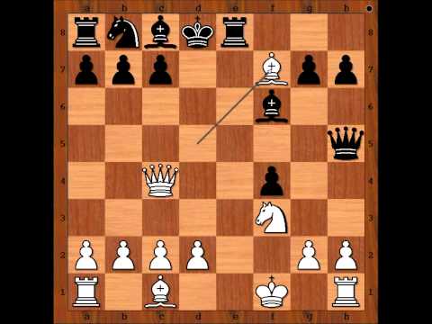 The King Hunt:Riemann vs Anderssen