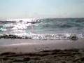 La canción del verano