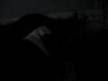 videos de Leia1108 253.mpg