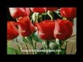 Corporate Logos by British Speaking Roses