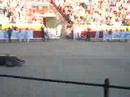 RedBull & ToroRosso: SanF1