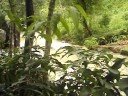 Waterfall/ Cachoeira - Brasil (Ouro Fino - Minas Gerais)