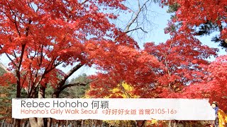 【2015 韓國紅葉必遊系列】                             秋日浪漫南怡島（字幕版）