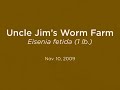 Squirm Arrives from Uncle Jim's Worm Farm