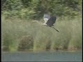 Apalachicola River, Florida - The Nature Conservancy