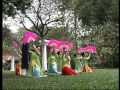  Hoa thơm bướm lượn