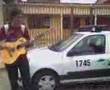 videos de çestifush