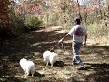Forget The World