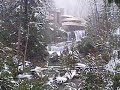 fallingwater.html