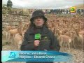 el chaccu