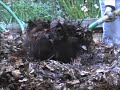 Compost Part 2--The Turn Compost Part 2--The Turn