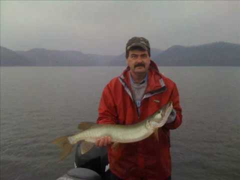 Cave Run Lake - Musky on the Flats