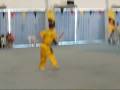 videos de Ervin Wushu-Long Fist