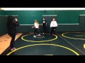 video for coumpters 008