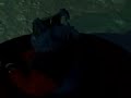 Dec 29 2007 - VID00010