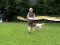 Dog Dancing