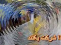 (day 25) اعتصاب غذا در مقابل كاخ سفيد washington usa
