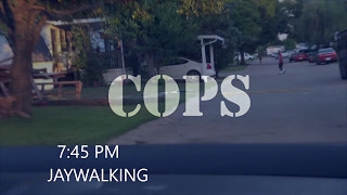 COPS tv show (PARODY)