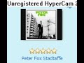 stadtaffe - peter fox - bass terror