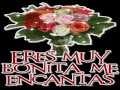 MUSICA ROMANTICA