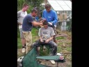 Shaving My Head