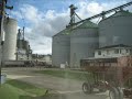 Soybean Harvest Soybean Harvest