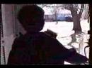 The Backyard Adventure