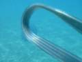 Jellyfish (Medusa) in front of coast Litochoro - Greece 3