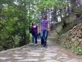 cumhuriyet �niversitesi