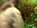 Brutal Woods by Fred Pruchon - Canal+ - Tentations. 07