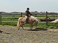 Les Wim Vonck 260408