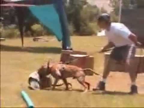 apbt