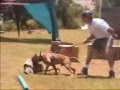2005 APBT championship