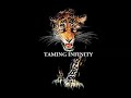 "Taming Infinity" with Manil Suri