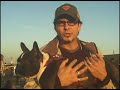 The Dog Park Incident