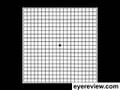 Grid for Macular Degeneration