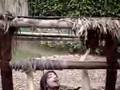 Poço dos Desejo (HISTORINHA DO PINIQUINHO - YESHUA TV)