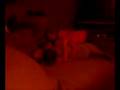 videos de roll.