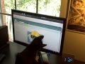 Kiki and the mouse