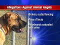 Westmoreland Animal Shelter Cited For Violations